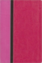 Cover art for Quest Study Bible: The Question and Answer Bible