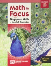 Cover art for Math in Focus: Singapore Math: Student Edition Grade 6 Volume B 2012