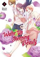 Cover art for Wake Up, Sleeping Beauty 4