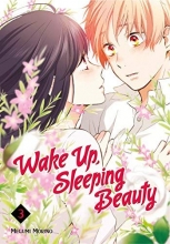 Cover art for Wake Up, Sleeping Beauty 3