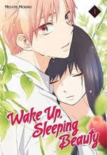 Cover art for Wake Up, Sleeping Beauty 1