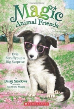 Cover art for Evie Scruffypup's Big Surprise (Magic Animal Friends)