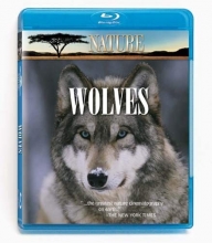 Cover art for Nature: In the Valley of the Wolves/Christmas in Yellowstone [Blu-ray]