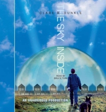 Cover art for The Sky Inside