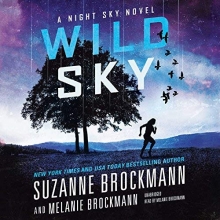 Cover art for Wild Sky (Night Sky Series, Book 2)