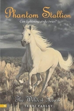 Cover art for The Wildest Heart (Phantom Stallion #16)