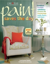 Cover art for Paint Saves the Day