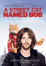 Cover art for A Street Cat Named Bob