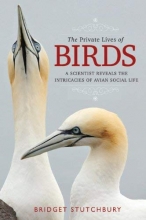 Cover art for The Private Lives of Birds: A Scientist Reveals the Intricacies of Avian Social Life