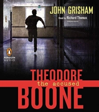 Cover art for Theodore Boone: the Accused