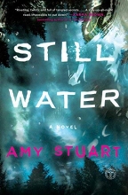 Cover art for Still Water: A Novel