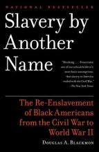 Cover art for Slavery by Another Name: The Re-Enslavement of Black Americans from the Civil War to World War II