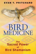 Cover art for Bird Medicine: The Sacred Power of Bird Shamanism
