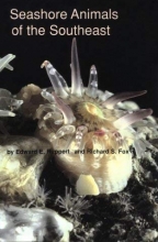 Cover art for Seashore Animals of the Southeast