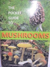 Cover art for The Pocket Guide to Mushrooms