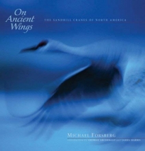 Cover art for On Ancient Wings: The Sandhill Cranes of North America (Natural History)