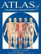 Cover art for Atlas Of Human Anatomy (Quickstudy Books)