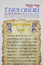 Cover art for Trei Asar: The Twelve Prophets Vol. II: / A New Translation With A Commentary Anthologized From Talmudic, Midrashic, And Rabbinic Sources (English and Hebrew Edition)