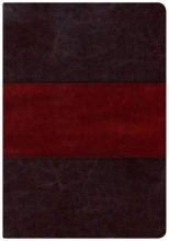 Cover art for Holman Study Bible: NKJV Large Print Edition, Saddle Brown LeatherTouch Indexed