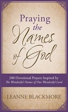 Cover art for Praying the Names of God: 200 Devotional Prayers Inspired by The Wonderful Names of Our Wonderful Lord