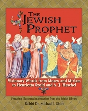 Cover art for The Jewish Prophet: Visionary Words from Moses and Miriam to Henrietta Szold and A. J. Heschel