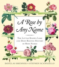 Cover art for A Rose by Any Name: The Little-Known Lore and Deep-Rooted History of Rose Names