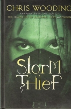 Cover art for Storm Thief