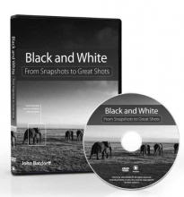 Cover art for Black and White: From Snapshots to Great Shots 
