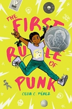 Cover art for The First Rule of Punk