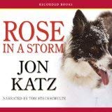Cover art for Rose in a Storm