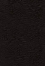 Cover art for The Voice Bible: Step into the Story of Scripture: Black Bonded Leather