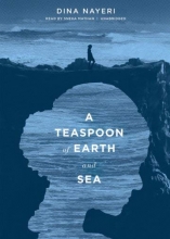 Cover art for A Teaspoon of Earth and Sea: A Novel