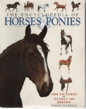 Cover art for The Encyclopedia of Horses & Ponies
