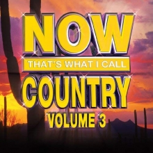 Cover art for Now Country Volume 3