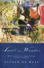 Cover art for Lost in Wonder: Rediscovering the Spiritual Art of Attentiveness