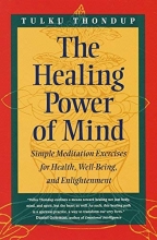 Cover art for The Healing Power of Mind: Simple Meditation Exercises for Health, Well-Being, and Enlightenment (Buddhayana Series, VII)