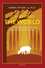 Cover art for God So Loved the World: Clues to Our Transcendent Destiny from the Revelation of Jesus (Happiness, Suffering, and Transcendence-Book 3)