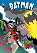 Cover art for Five Riddles for Robin (Batman)