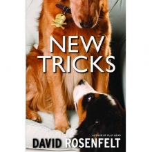Cover art for New Tricks