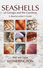 Cover art for Seashells of Georgia and the Carolinas