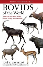 Cover art for Bovids of the World: Antelopes, Gazelles, Cattle, Goats, Sheep, and Relatives (Princeton Field Guides)
