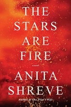 Cover art for The Stars Are Fire: A novel