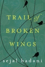 Cover art for Trail of Broken Wings