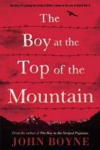 Cover art for The Boy at the Top of the Mountain