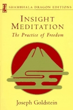 Cover art for Insight Meditation (Shambhala Dragon Editions)