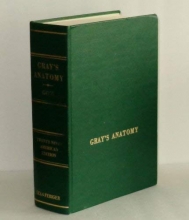 Cover art for Gray's Anatomy