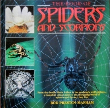 Cover art for The Book of Spiders and Scorpions