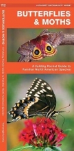 Cover art for Butterflies & Moths: A Folding Pocket Guide to Familiar North American Species (A Pocket Naturalist Guide)