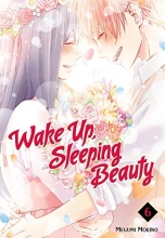 Cover art for Wake Up, Sleeping Beauty 6