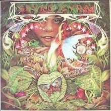 Cover art for Spyro Gyra: Morning Dance